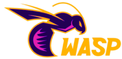 waspth33 ทำกำไรได้จริง อัตราการจ่ายรางวัลสูง โบนัสจัดหนักทุกวัน